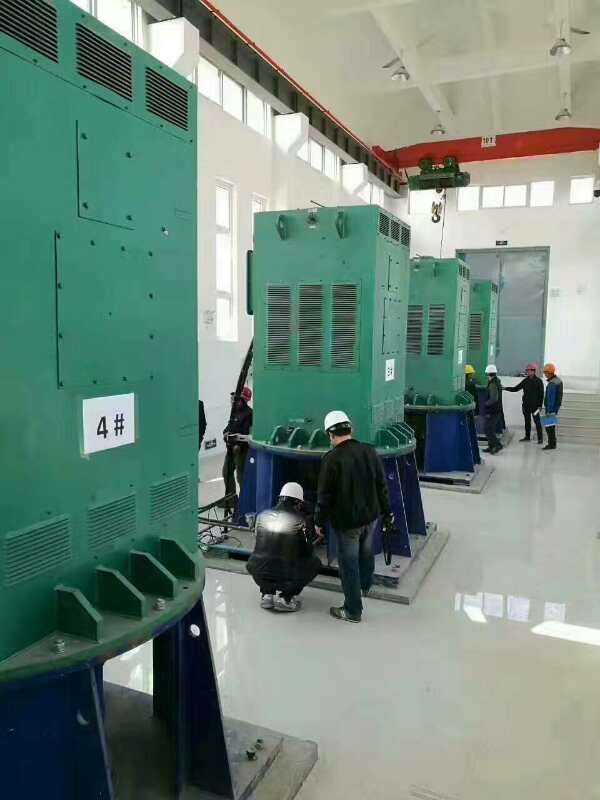 YKK5004-8某污水处理厂使用我厂的立式高压电机安装现场