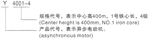 西安泰富西玛Y系列(H355-1000)高压YKK5004-8三相异步电机型号说明