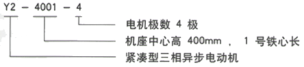 YR系列(H355-1000)高压YKK5004-8三相异步电机西安西玛电机型号说明